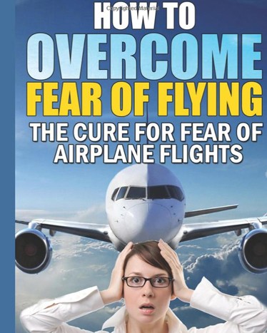 fear of flying novel